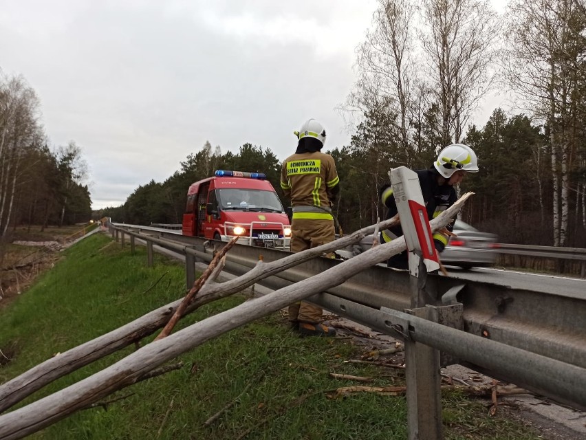 Wichura szalała w powiecie koneckim. Strażacy usuwali z dróg powalone drzewa