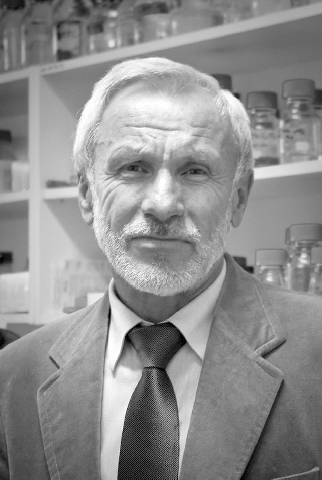 Prof. Jan Szopa Skórkowski wymyślił plastry z genetycznie modyfikowanego lnu.