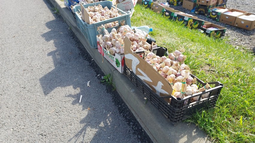 Tak wyglądał handel na targu w Opatowie w środę, 26 lipca. Jakie ceny warzyw i owoców?
