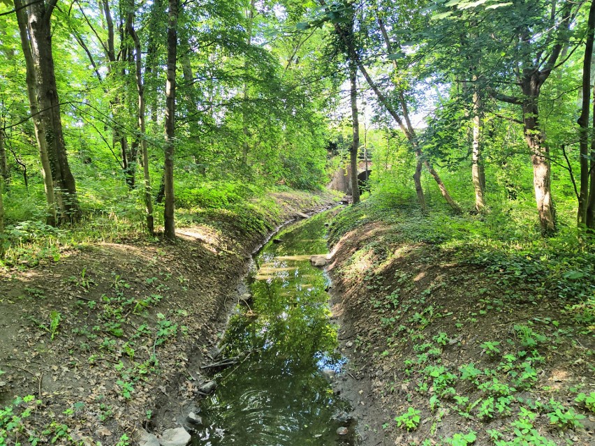 Park Wolności, czyli magiczne miejsce na mapie Brzegu [WIDEO]