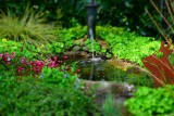 Ogród deszczowy zbierze wodę i pomoże przetrwać suszę. Na czym polega taki ogród i jak go założyć? Teraz może być tańszy
