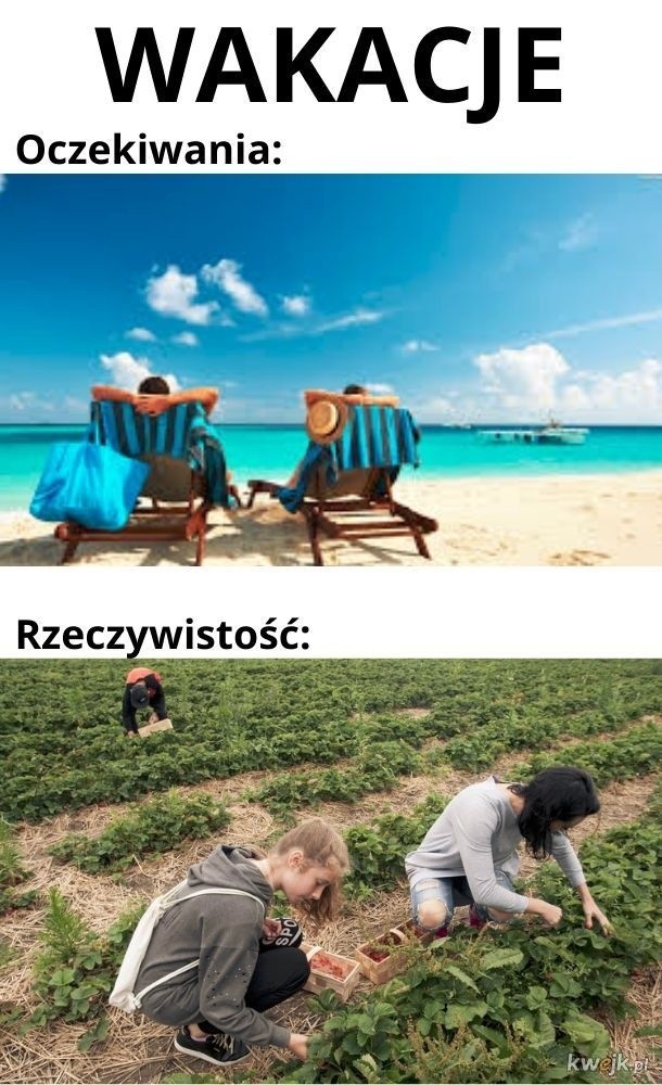 W naszym regionie rolników nie brakuje, wielu sobie...