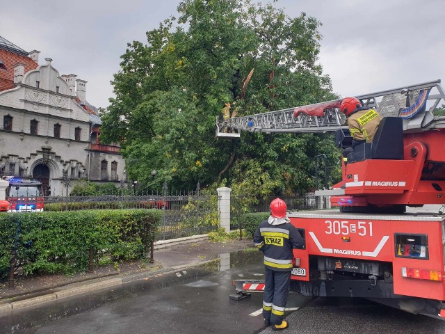 Na ul. Skorupki piorun uderzył w drzewo - interweniowali strażacy