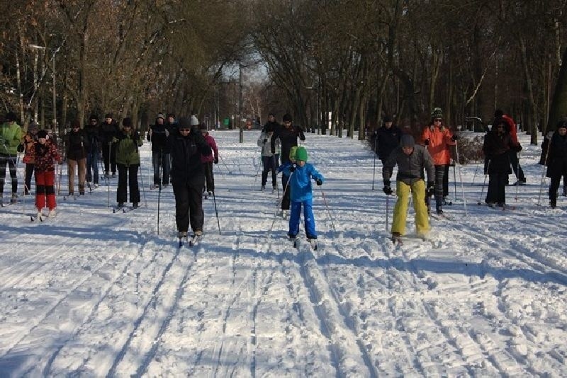 Zajęcia na nartach biegowych