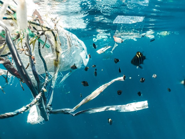 Nowe badania ułatwią walkę z globalnym problemem, jakim jest zanieczyszczenie mikroplastikiem?