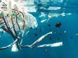 Naukowcy sprawdzają wiek mikroplastiku w morzach i oceanach. Ma nie więcej niż 5 lat! Nowe badania mają pomóc w walce z zanieczyszczenami