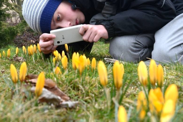 Wiosna 2019 na horyzoncie? Sprawdzamy długoterminową...