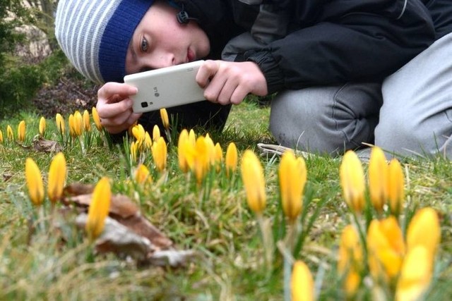 Wiosna 2019 na horyzoncie? Sprawdzamy długoterminową prognozę pogody.