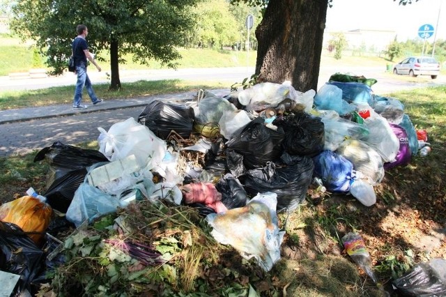 Górę worków ze śmieciami ktoś wyłożył przy alei Legionów w Kielcach.