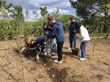 Wymiana studencka w LO im. Królowej Jadwigi. Szkołę odwiedzili uczniowie z Turcji oraz Rumunii 