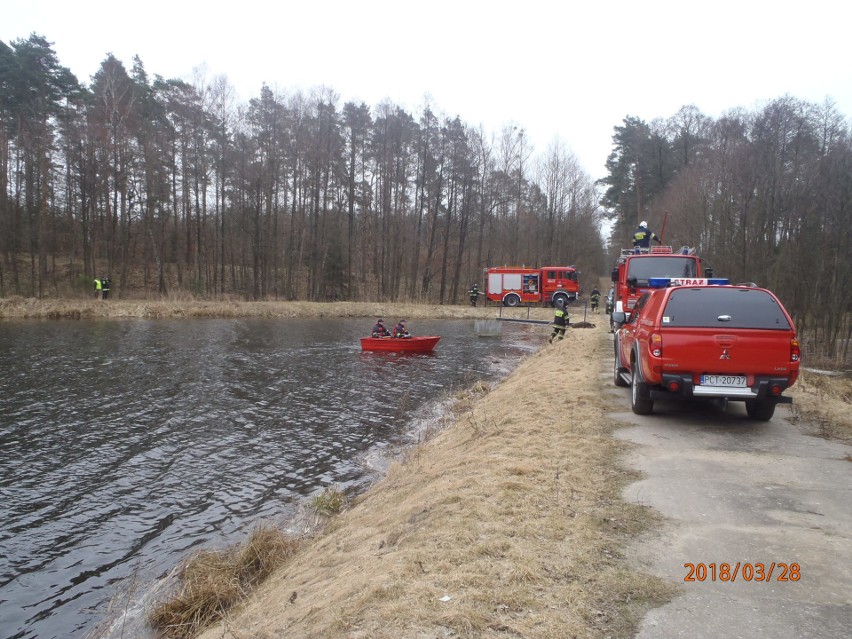 Padłe dziki wyłowiono w środę, 28 marca. Trwają badania...