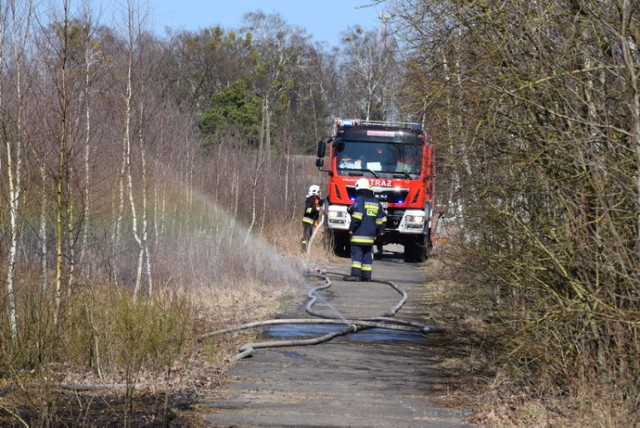 Pożary lasów w Czarnem i Międzyborzu