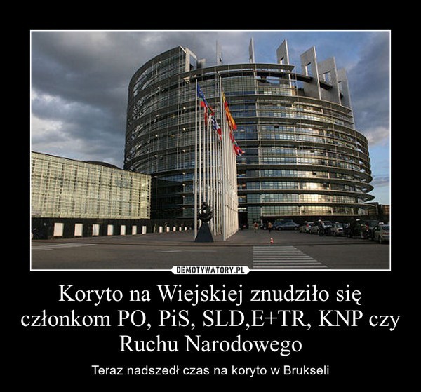 Wybory do europarlamentu: Internauci komentują na...