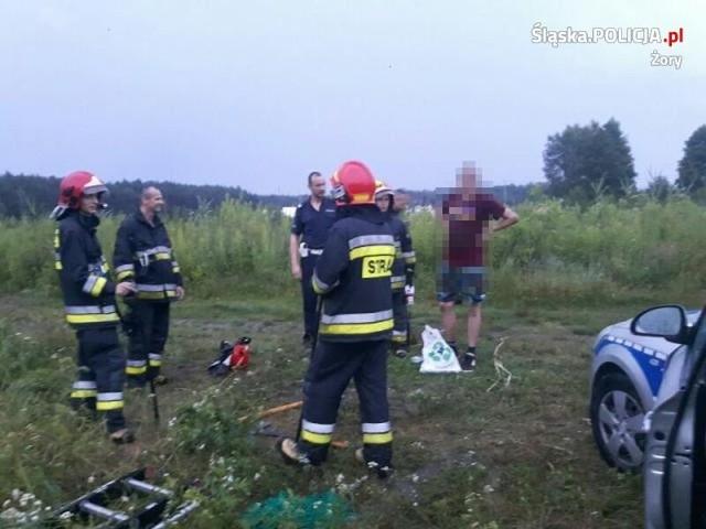 Mężczyzna spędził cztery godziny na drzewie, bo uciekał przed agresywnymi dzikami