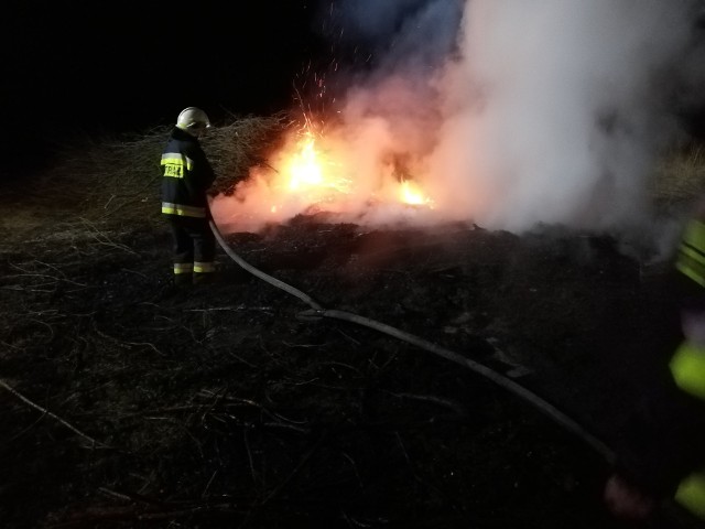 Pożar wybuchł na łąkach w Łęgonicach Małych.
