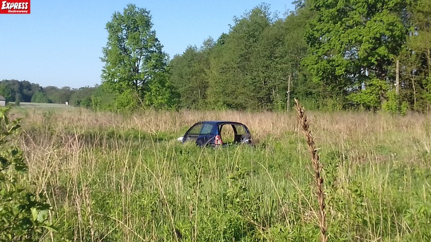 Wraki pod Łodzią: odjechało BMW z kolekcji, przyjechały dwa land rovery, a złomowisko zarosło… [zdjęcia, FILM]