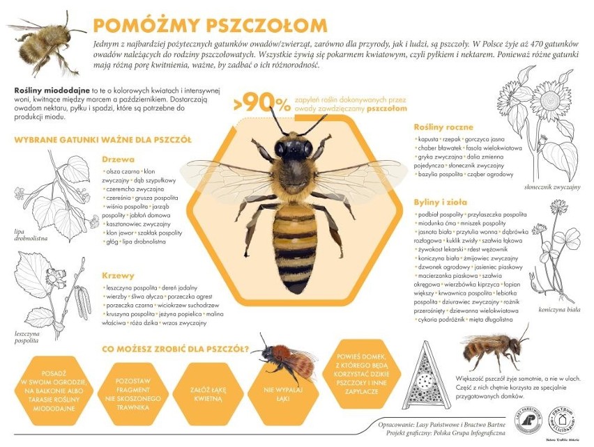 Gdzie znajduje się najwyżej położona pasieka w Beskidach? W... Wyrchczadeczce w gminie Istebna. Działa na wysokości... 700 metrów m.p.m.