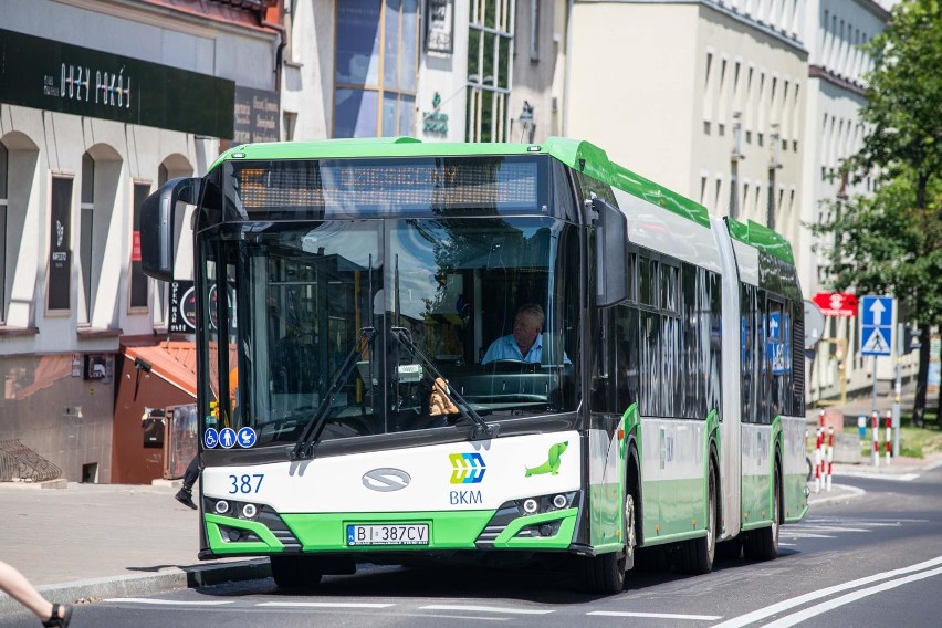 Jak zostać kierowcą autobusu i nie spowodować wypadku? Zobacz, co zrobić,  żeby dostać pracę dla kierowcy | Strefa Biznesu