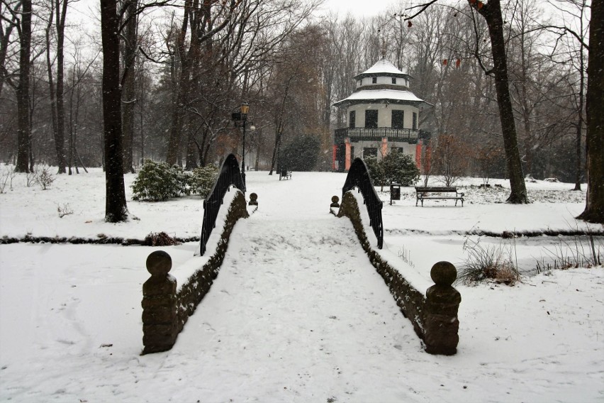 Park Habsburgów w Żywcu zimą. Warto wybrać się tutaj na...
