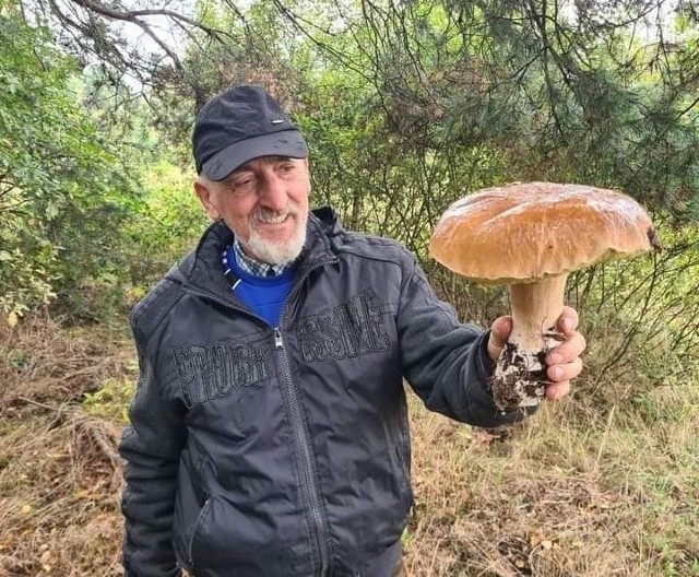 Pan Marian, mieszkaniec gminy Mniów, znalazł na czwartkowym grzybobraniu borowika szlachetnego o wadze 1100 gram! Więcej Waszych zdobyczy z grzybobrań na kolejnych zdjęciach