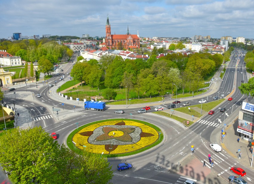 Zieleń w Białymstoku 2019: Magistrat bierze się za zieleń. Mieszkańcy dostaną 3 tys. sadzonek. Będziemy mogli zazielenić posesje (zdjęcia)