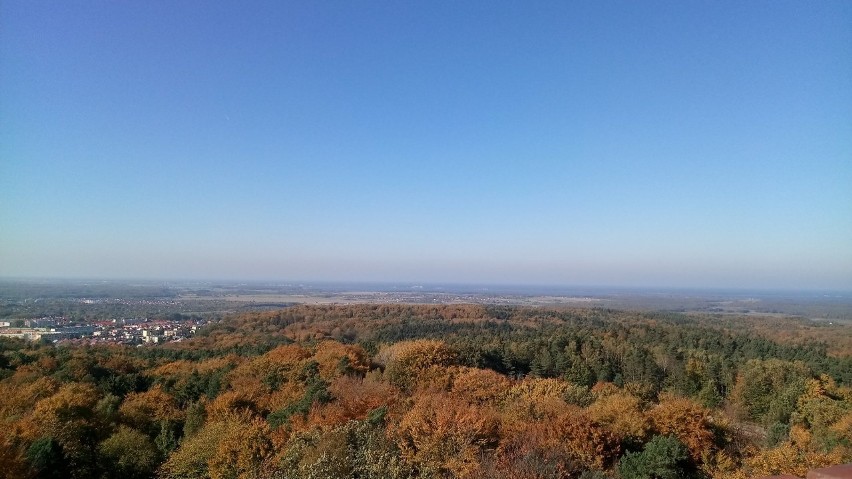 Koszalin. Widok z wieży na Górze Chełmskiej.