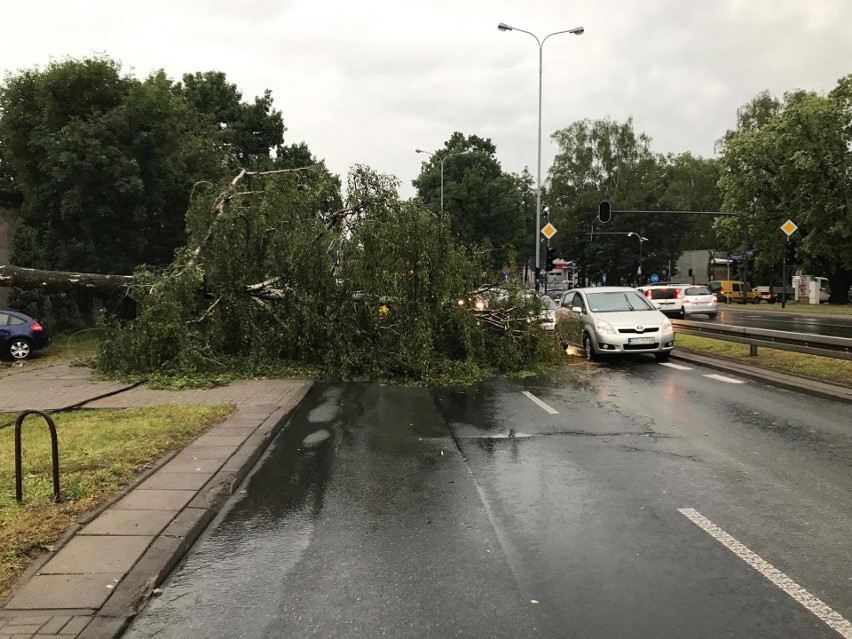 Burza w Łodzi. Nawałnica nad Łodzią. Powalone drzewa, gałęzie na drogach, zalane ulice [ZDJĘCIA]