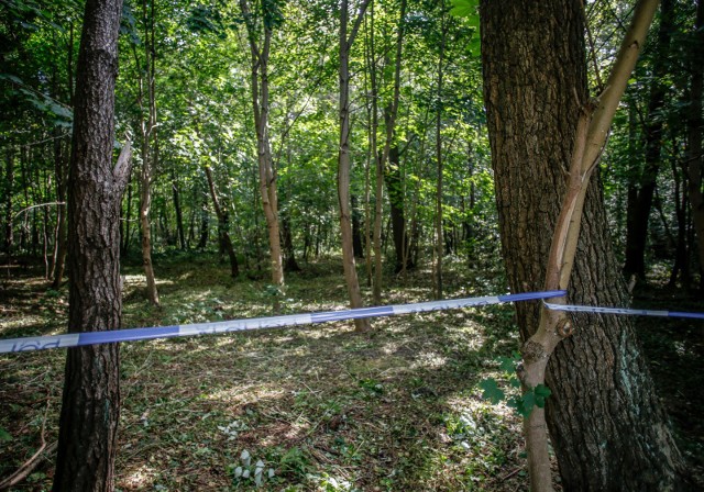 Już wszystko jasne. 15 lutego na bydgoskich Kapuściskach nie doszło do napadu nożownika. Jak informuje policja, rzekomo poszkodowany mężczyzna dokonał samookaleczenia