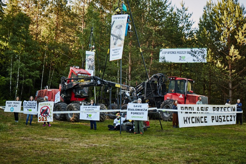 Trwa trzecia blokada wycinki w Puszczy Białowieskiej (zdjęcia)