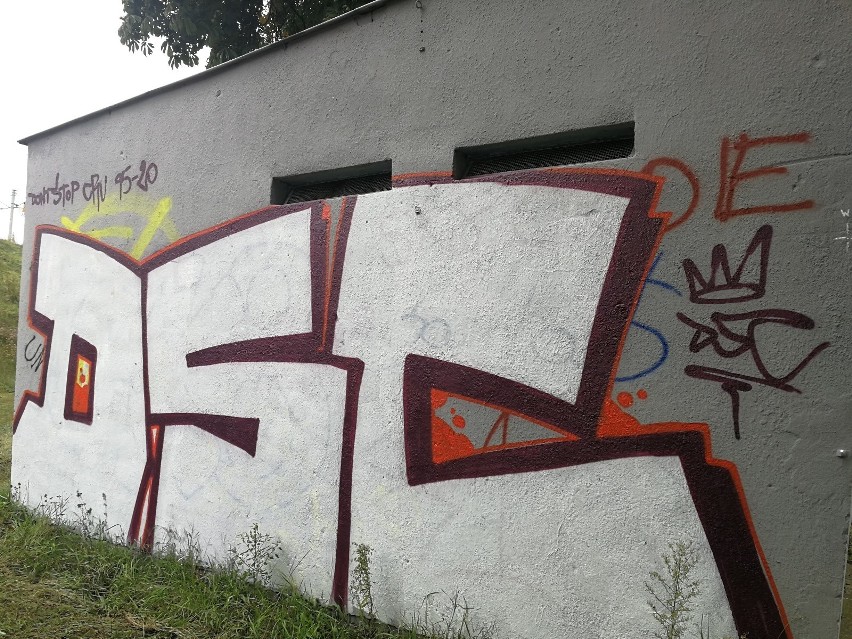 Toruń walczy z nielegalnym graffiti. Jak i ile chce na to wydać?