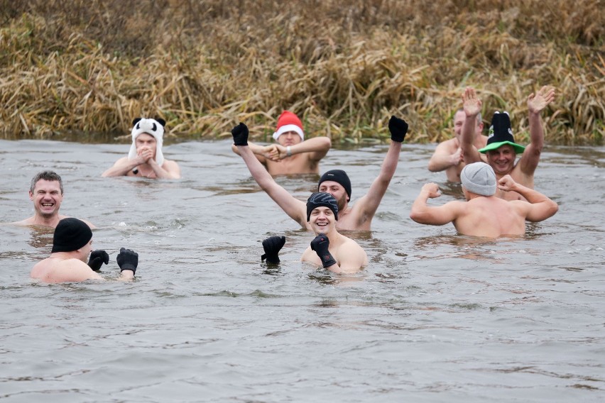 Morsy wskoczyły do rzeki Narew na kilka minut.