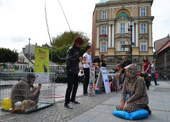 Akcja "Cyrk BEZ Zwierząt" w Bielsku-Białej