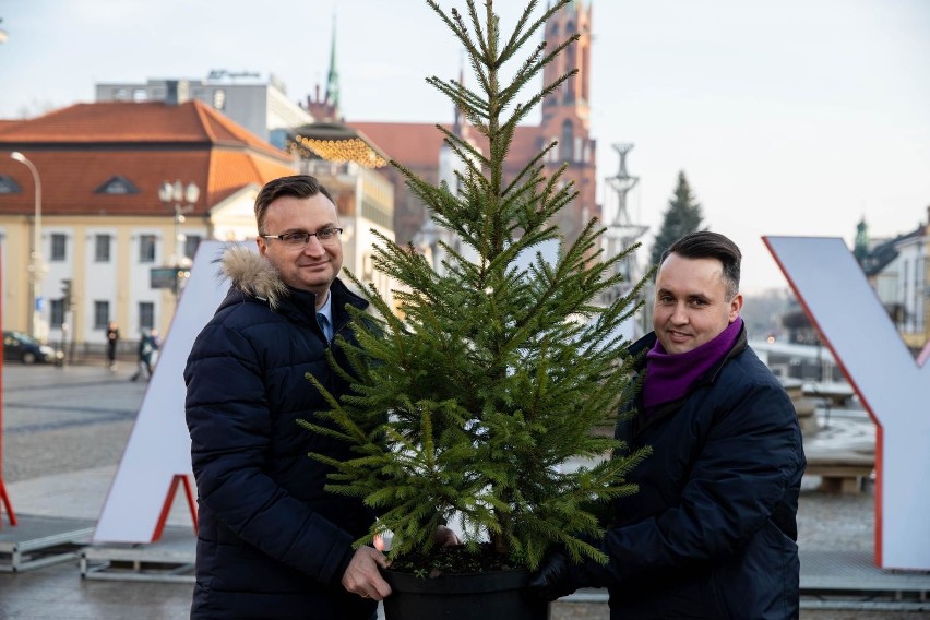 Władze Białegostoku będą rozdawać za darmo choinki na Rynku Kościuszki. Otrzyma je sto osób, które w zamian zostawią sztuczne drzewka 