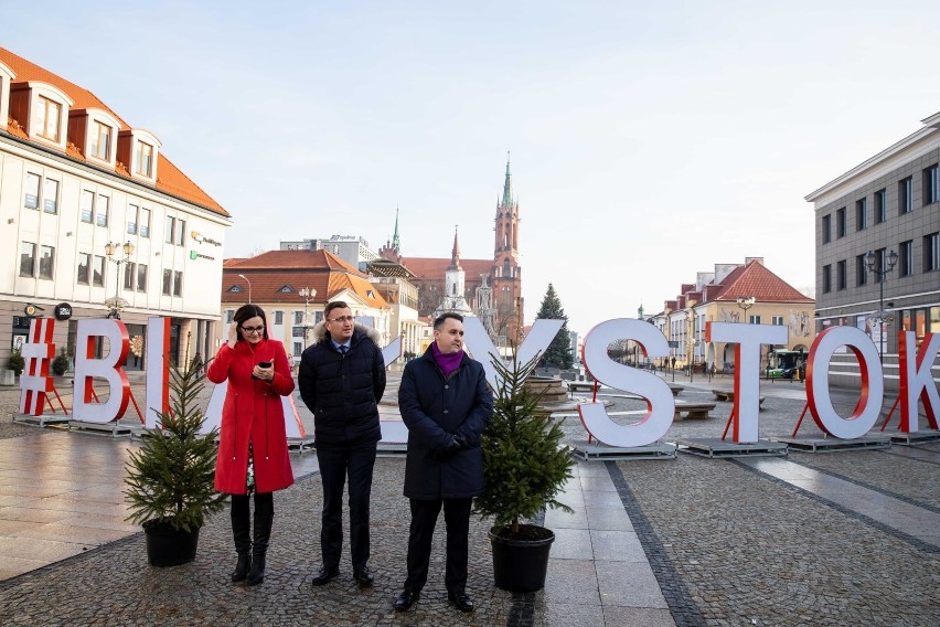 Władze Białegostoku będą rozdawać za darmo choinki na Rynku Kościuszki. Otrzyma je sto osób, które w zamian zostawią sztuczne drzewka 