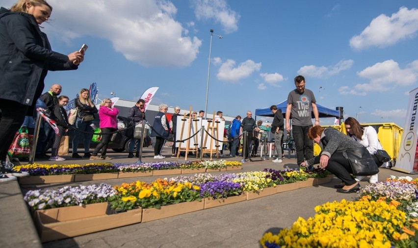 Tak było w czasie naszej akcji Bądź Eko na wiosnę w Grudziądzu! FOTO i WIDEORELACJA