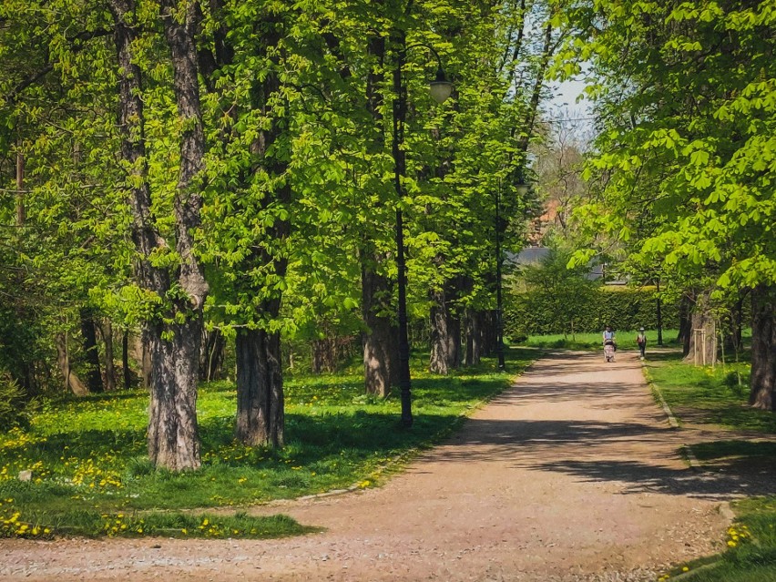 Park Mickiewicza w Wieliczce - założony w 1835 roku, jako...