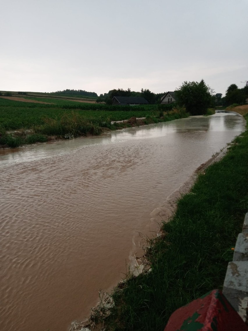 Taka powódź nawiedziła Kostrzeszyn w gminie Złota po...