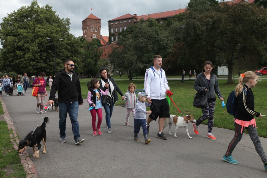 Marsz Azylanta 2018 w Krakowie