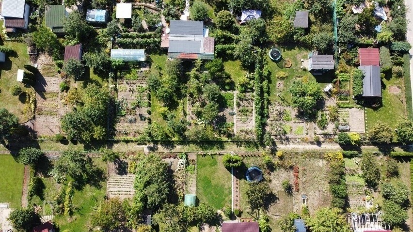 Ogródki działkowe w Gorzowie z miejskim wsparciem. Dostaną pieniądze na inwestycje 