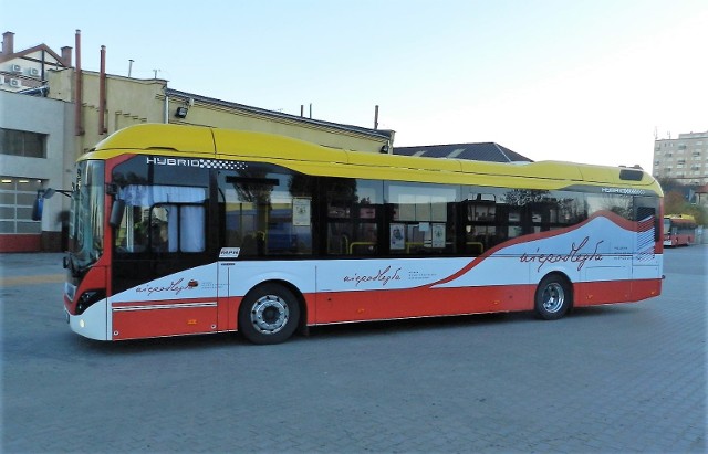 Na inowrocławskich ulicach od dziś spotkać będzie można "Autobus dla Niepodległej”. To specjalnie "przybrany" w narodowe barwy, na obchody 100-lecia odzyskania przez Polskę Niepodległości, autobus Miejskiego Przedsiębiorstwa Komunikacyjnego. Dziś kursować będzie na linii 21. Natomiast w piątek, 9 listopada, w godz. 10.30-15 uczniowie i nauczyciele Katolickiej Szkoły Podstawowej będą zachęcać mieszkańców do wspólnego śpiewania pieśni patriotycznych w „Autobusie dla Niepodległej”. Tego dnia autobus będzie kursował trasą linii 27. Akcję organizuje Katolicka Szkoła Podstawowa we współpracy z Miejskim Przedsiębiorstwem Komunikacyjnym pod Honorowym Patronatem Prezydenta Miasta Inowrocławia Ryszarda Brejzy i Instytutu Pamięci Narodowej.Warto dodać, że 9 listopada, na przystanku przy Bazylice Imienia NMP harcerze z ZHR zaproszą inowrocławian na opowieść przy ognisku. - Mamy nadzieję, że poprzez śpiew i wspominanie odwagi polskich chłopców, strzelców, ułanów, którzy przelewali krew za Ojczyznę, oddamy im cześć, a sami poczujemy dumę z naszej historii i czerpiąc siłę z polskich korzeni, rozwiniemy skrzydła - podkreslają organizatorzy.