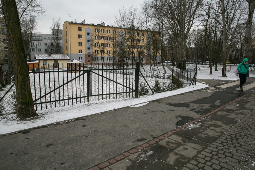 Kraków. Chce szerokiej drogi przez park Młynówka Królewska