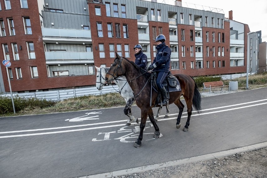 Patrole policji konnej pojawiły się w kilku miejscach w...