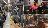 Ponad 430 uchodźców z Ukrainy dojechało do Wrocławia pociągiem Kolei Dolnośląskich [ZDJĘCIA]