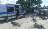 Polsko-niemiecka akcja policjantów w Osielsku pod Bydgoszczą. Zatrzymano pasera elektroniki z aut [zdjęcia]