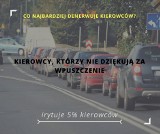 Oto 20 rzeczy, które najbardziej irytują kierowców [ZOBACZ]