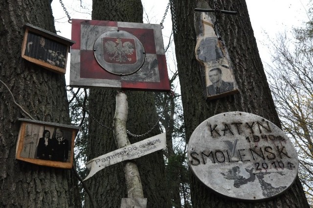 Pomnik smoleński na dębie w lesie w Strojcu.