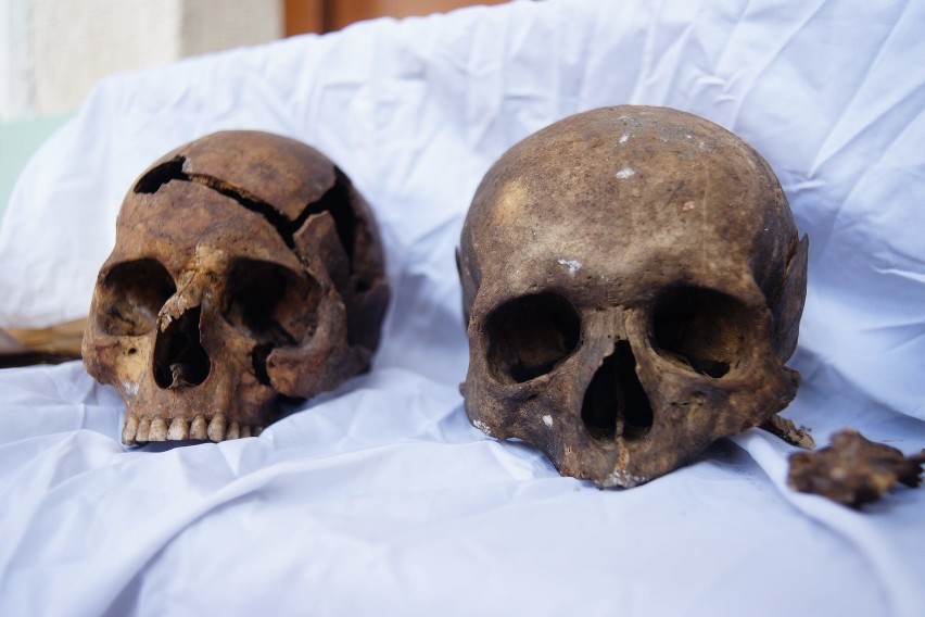 Kraków. 18-letni Ukrainiec chciał ukraść te czaszki z bazyliki [ZDJĘCIA]