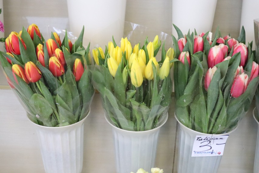 Tulipany kosztują od 3 zł za sztukę.