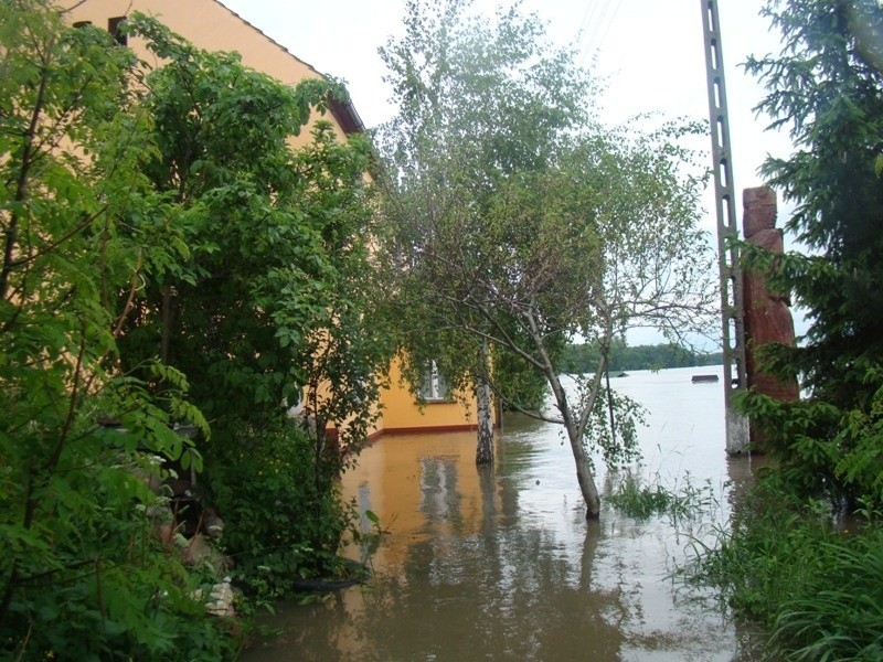 Powódź w Ścinawie (ZDJĘCIA INTERNAUTY)