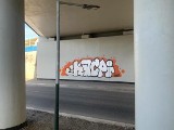 Kraków. 17-latek chciał "urozmaicić" ekrany energochłonne Trasy Wolbromskiej kolorowym graffiti. Narobił szkód na 8 tys. zł.